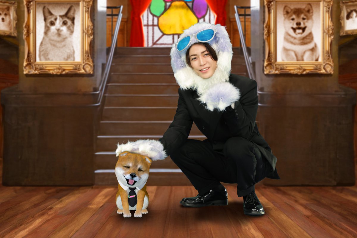 oricon's tweet photo. 亀梨和也、独立後初レギュラー🎊
テレ東初MC番組、4/16(水)スタート

『世界を救う！ワンにゃフル物語
柴と三毛と亀梨くん』

動物たち主役の究極の動物番組
「亀❗️亀を掘り下げないと❗️」
https://t.co/wpN5Yf8Ig8

MC：亀梨和也
進行：毒舌な子犬・七之助（声:小峠英二）
出演者：いとうあさこ https://t.co/dzX5EXZUDc