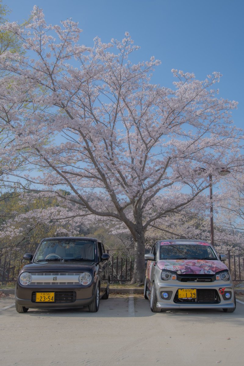 yu_ha36s's tweet photo. 今日は彼女と花見ツーリングしてきました🚗³₃

ワークスとラパンと一緒に写真撮れたので満足です😁

今年はもう今日で最後かなー💦 

 #桜と車の写真見せて  #ha36s  #he33 https://t.co/pTZ9pWu7fH