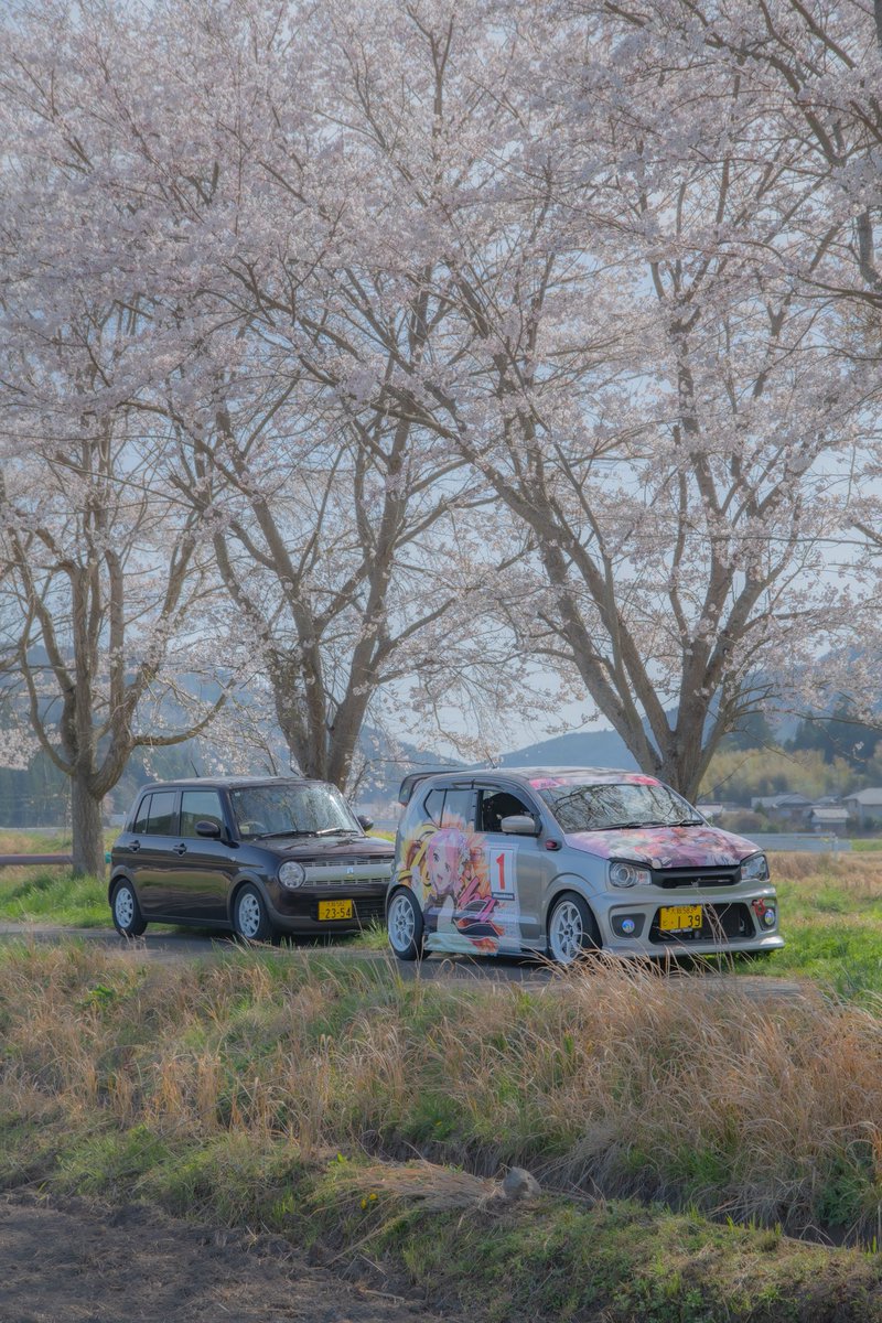 yu_ha36s's tweet photo. 今日は彼女と花見ツーリングしてきました🚗³₃

ワークスとラパンと一緒に写真撮れたので満足です😁

今年はもう今日で最後かなー💦 

 #桜と車の写真見せて  #ha36s  #he33 https://t.co/pTZ9pWu7fH