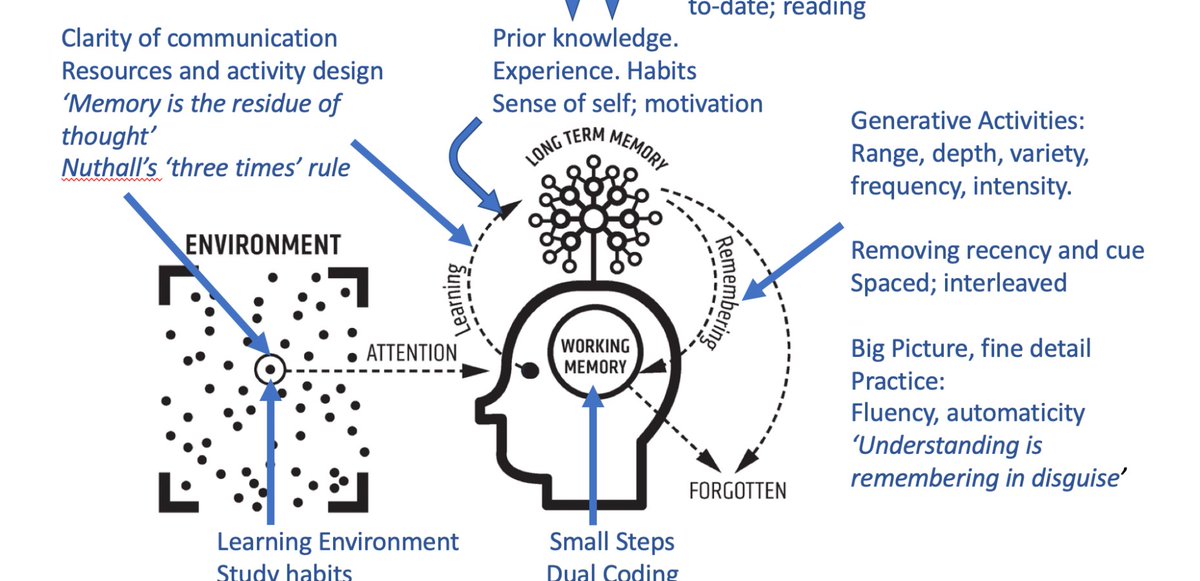Un modelo para el proceso de aprendizaje. (Sherringtom)

➡️Estrategias para captar la atención, usar estructuras narrativas, preguntas inclusivas y estímulos que focalicen la atención.

➡️Dividir los conceptos y las tareas en pasos y elementos más pequeños y prácticos.