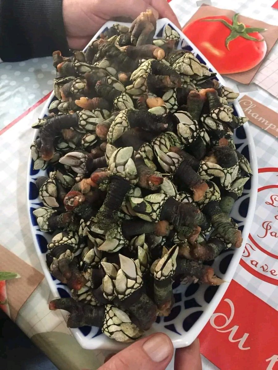 XEL56's tweet image. Quen poidera xantalos ??Manxar de deuses 😍