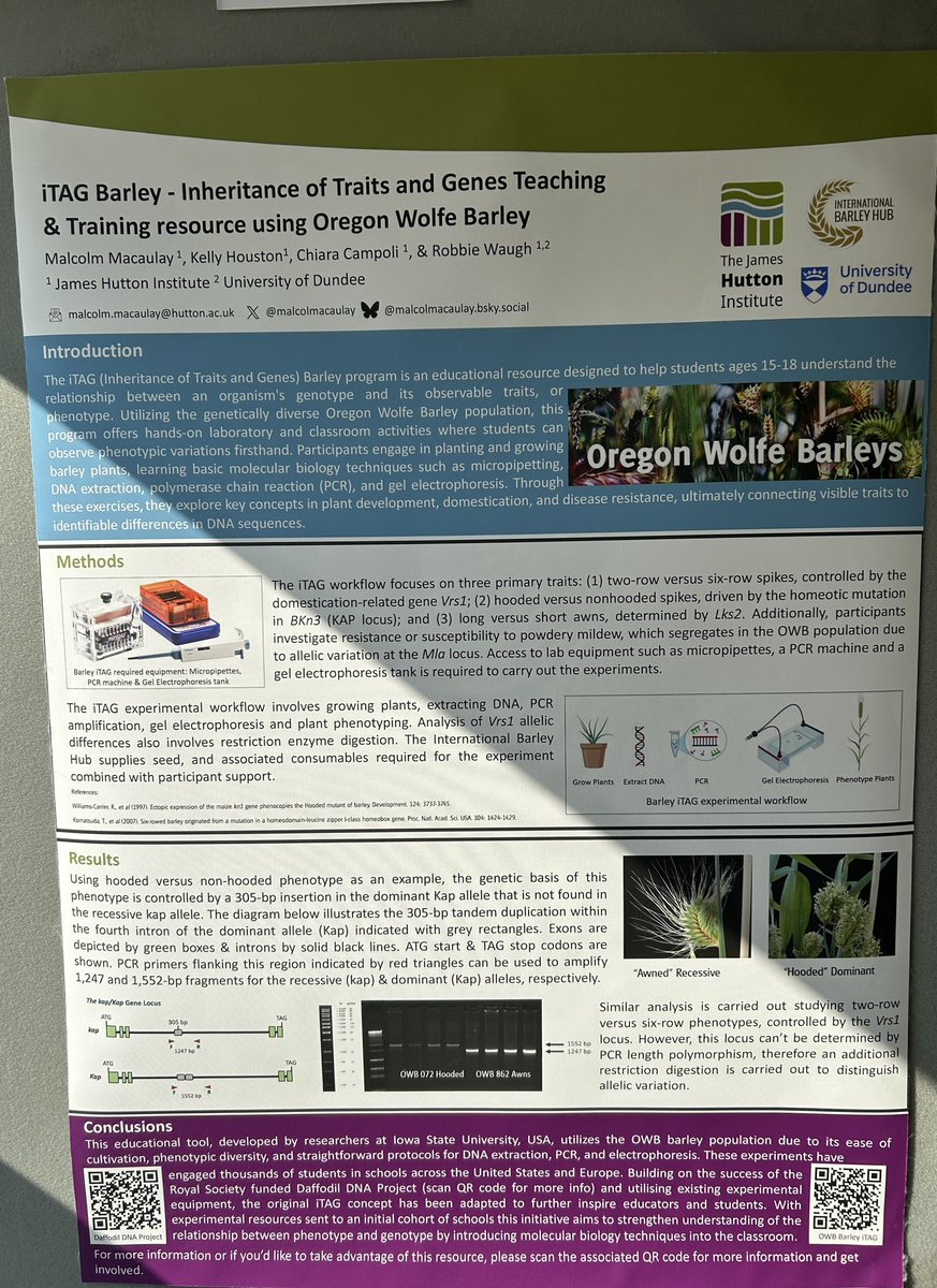 Malcolm Macaulay (@malcolmacaulay) on Twitter photo 👀👇If you are <a href="/MonogramUK/">Monogram Network</a> meeting <a href="/ibers_aber/">IBERS - Aber</a>, please check out my poster describing our new barley iTAG educational resource #OWB #monogram25
barleyhub.org/teaching-educa… 👀👇If you are <a href="/MonogramUK/">Monogram Network</a> meeting <a href="/ibers_aber/">IBERS - Aber</a>, please check out my poster describing our new barley iTAG educational resource #OWB #monogram25
barleyhub.org/teaching-educa…
