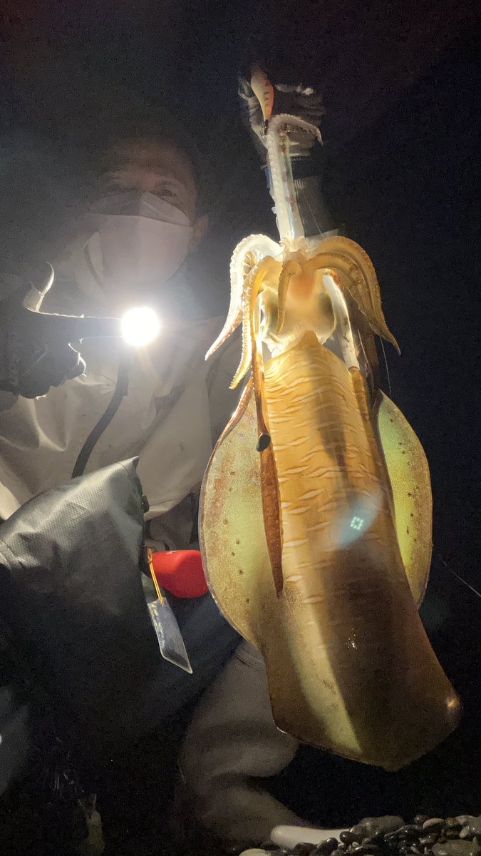 【ストレッチマコドン】chan_makooooooo tweet media