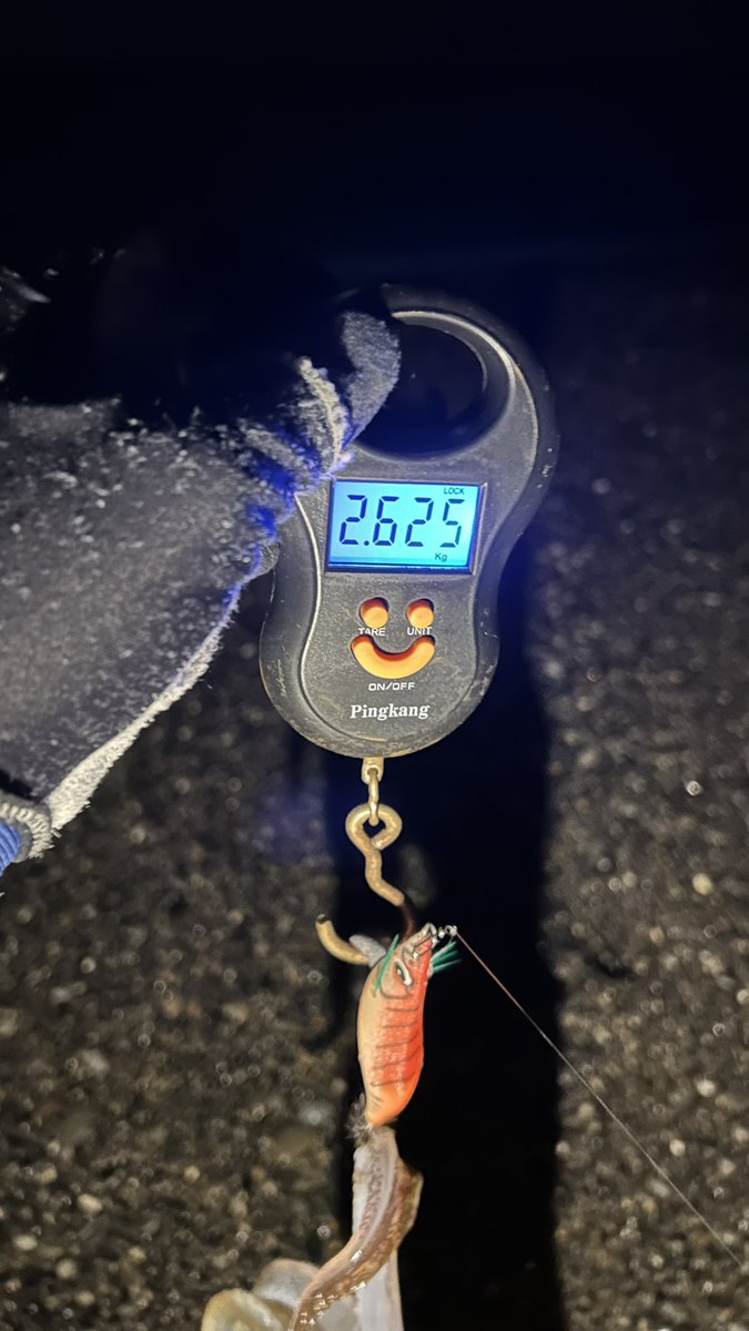 【ストレッチマコドン】chan_makooooooo tweet media