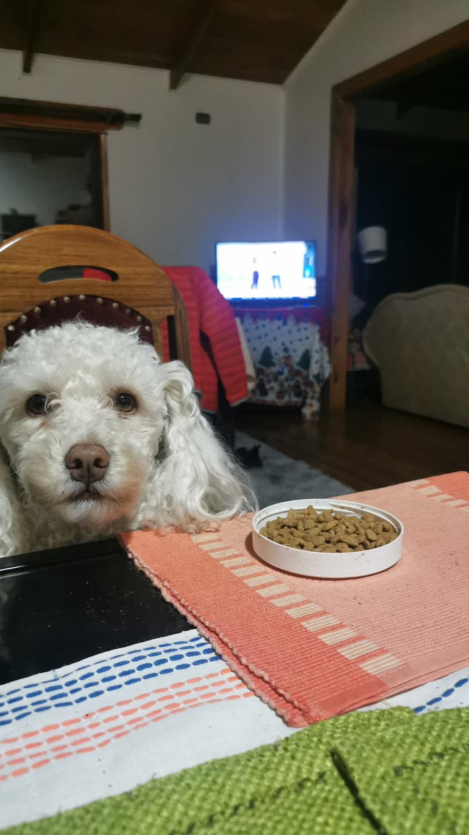 AYR2170's tweet photo. Queremos reconciliarnos con ella que anoche no nos dejó dormir y aquí está tomando desayuno. Saludos a Uds. Desde #RioBueno  #DespiertaConCHV https://t.co/hCHaMmECZC
