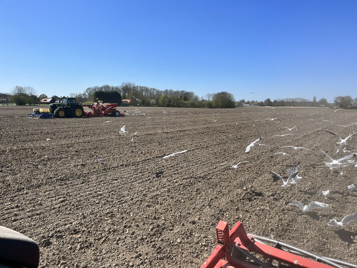Rickjd3050's tweet photo. Laatste perceel aardappels in de grond, ook nog een dagje met de demo AVR van Kraakman mogen poten https://t.co/sdf4y859WZ