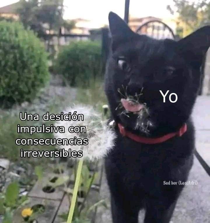 okkkvale 👍 (@okkkvale) on Twitter photo 