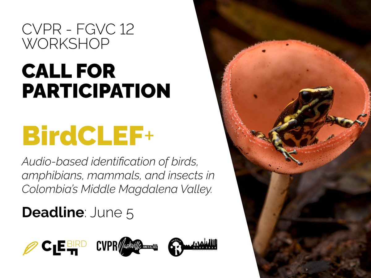 BirdCLEF25: Audio-based species identification focused on birds, amphibians, mammals, and insects in Colombia.
👉 kaggle.com/competitions/b… 
<a href="/CVPR/">#CVPR2025</a> <a href="/LifeCLEF/">Lifeclef Lab</a> <a href="/kaggle/">Kaggle</a>
#FGVC #CVPR #CVPR2025 
[1/4]