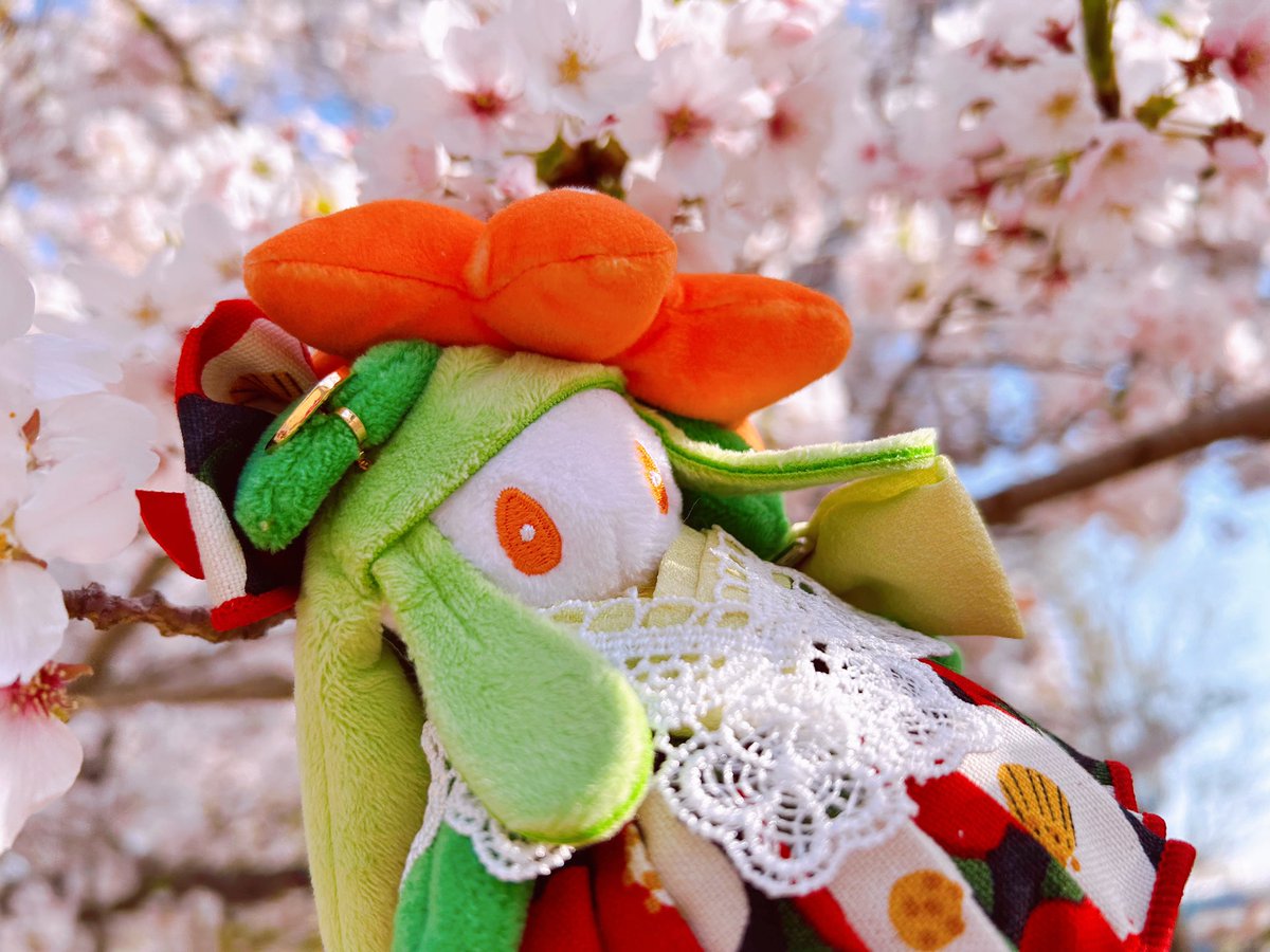 みひめかおり tweet media