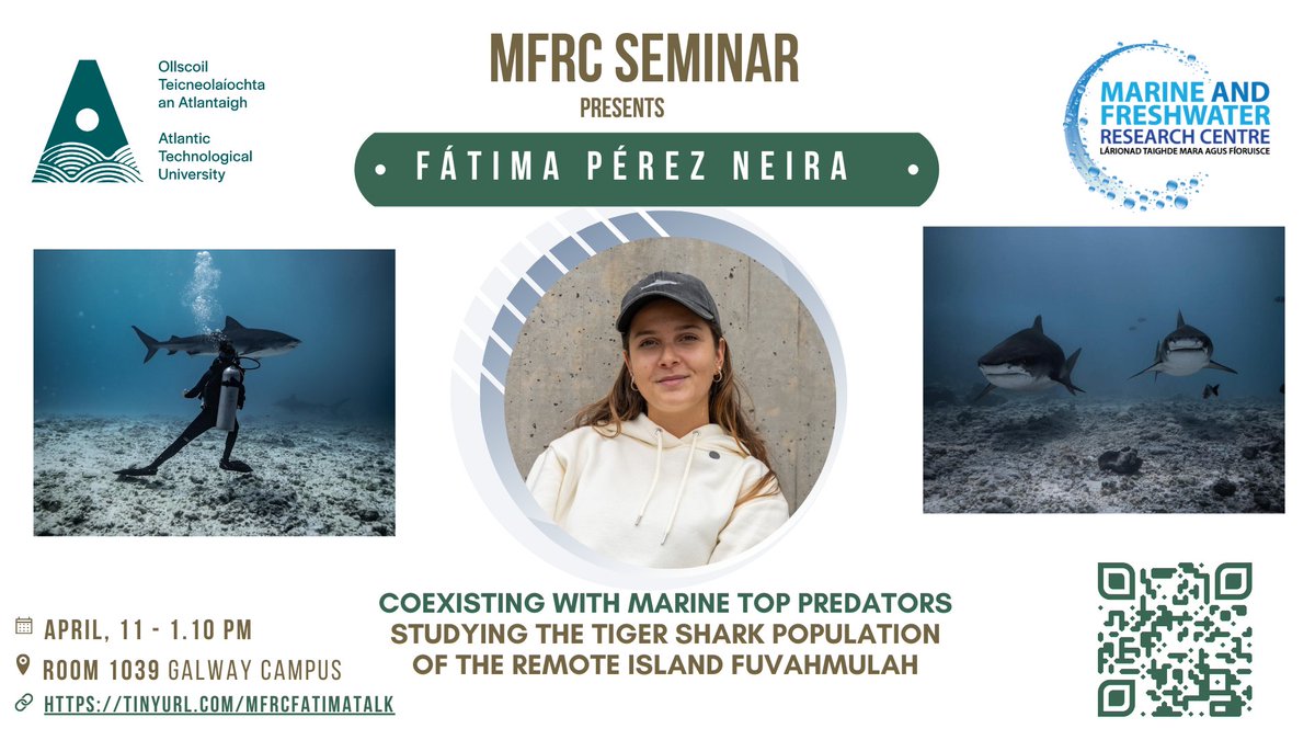 [MFRC Seminar]

This week Fátima Pérez Neira will talk about tiger sharks in the Maldives. 

Join us in person, this Friday at 1.10 pm at Dublin Road <a href="/atu_ie/">Atlantic Technological University</a>  or online at:

lnkd.in/eWyBYj34