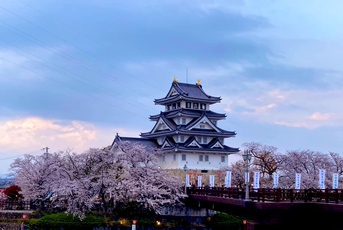 桜桜桜〜!本丸