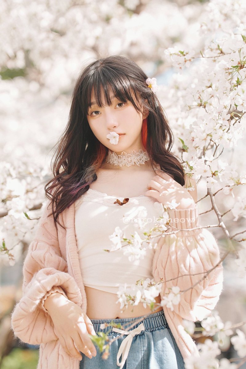 Sakura sakura I miss you 🌸