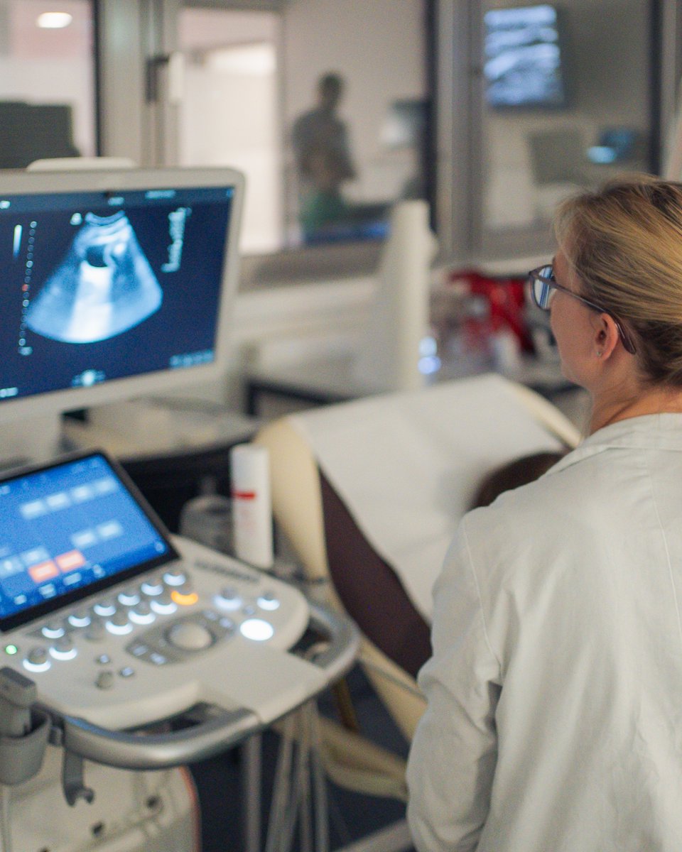 Sigmund Freud PrivatUniversität Wien tweet media