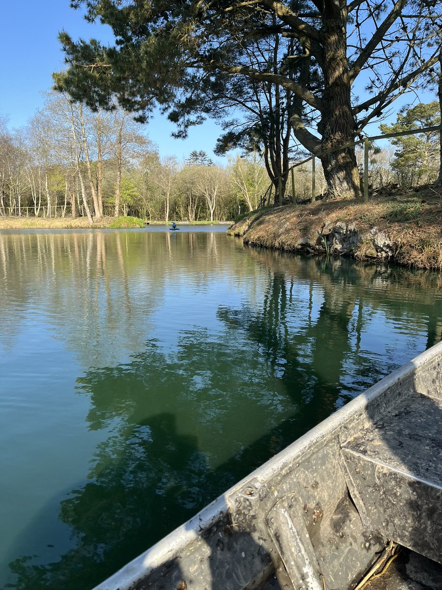 Ron_ejuleff's tweet photo. Had a Water Vole keeping me entertained this morning whilst waiting for the electrician to do his work. 😍👌@News_Reel #Whiteacres @Parkdeanresorts #Cornwall #Kernow https://t.co/r1AvlUtB1z
