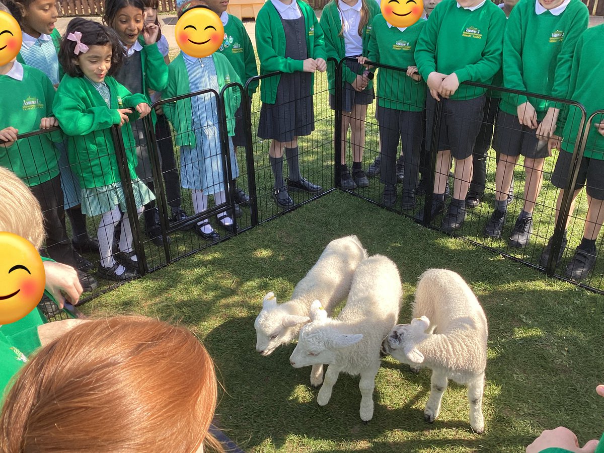 whcps's tweet photo. We have really enjoyed seeing the new lambs that have been brought into school! The children loved meeting and stroking them, whilst hearing stories about them. Super midweek treat for a fabulous term. ๐ #whcyear2 #whceaster https://t.co/S0gNo00dPO