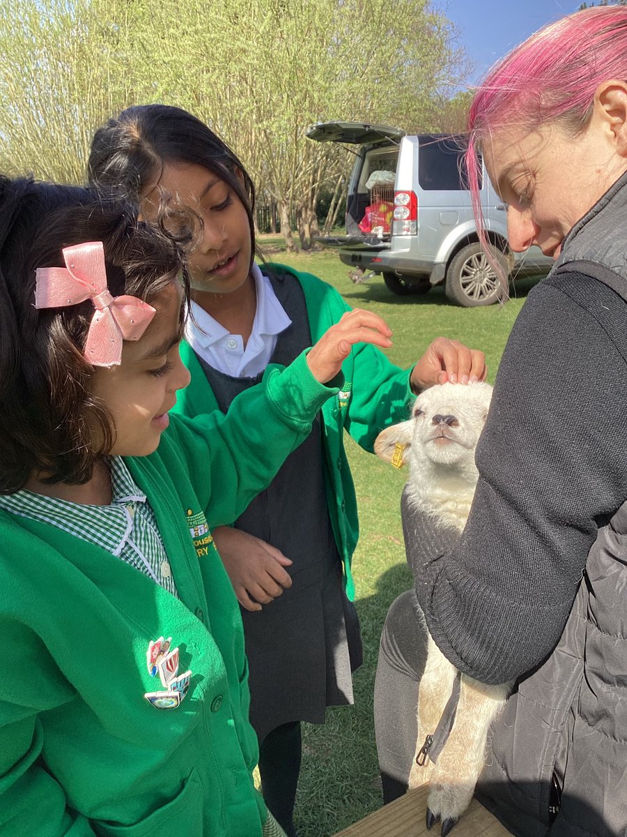 whcps's tweet photo. We have really enjoyed seeing the new lambs that have been brought into school! The children loved meeting and stroking them, whilst hearing stories about them. Super midweek treat for a fabulous term. ๐ #whcyear2 #whceaster https://t.co/S0gNo00dPO