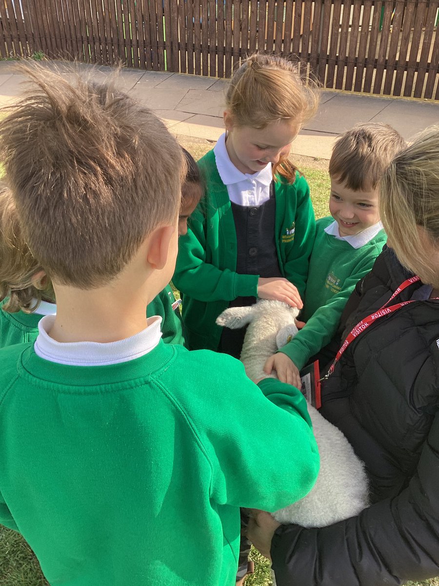 whcps's tweet photo. We have really enjoyed seeing the new lambs that have been brought into school! The children loved meeting and stroking them, whilst hearing stories about them. Super midweek treat for a fabulous term. ๐ #whcyear2 #whceaster https://t.co/S0gNo00dPO