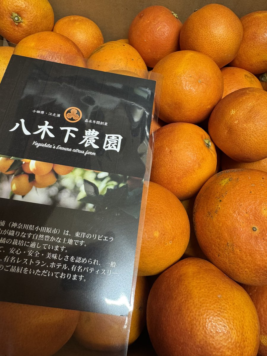 sawaralaque's tweet photo. 八木下農園さんのブラッドオレンジ
タロッコ種入荷しました。
#かき氷 https://t.co/D6ivRKJY32