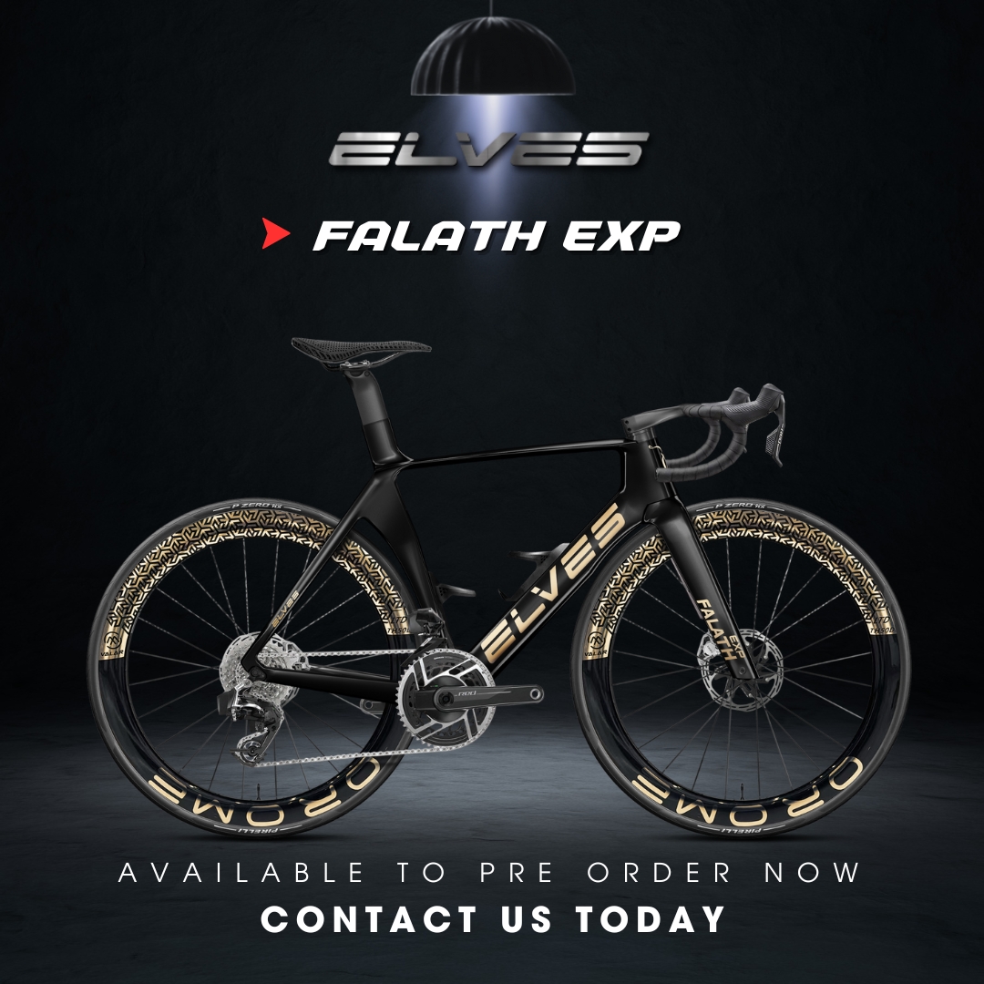 ELVES ファラスプロ 未完成車 購入前に必ずコメントください ELVES ファラスプロ 未完成車 購入前に必ずコメントください ELVES