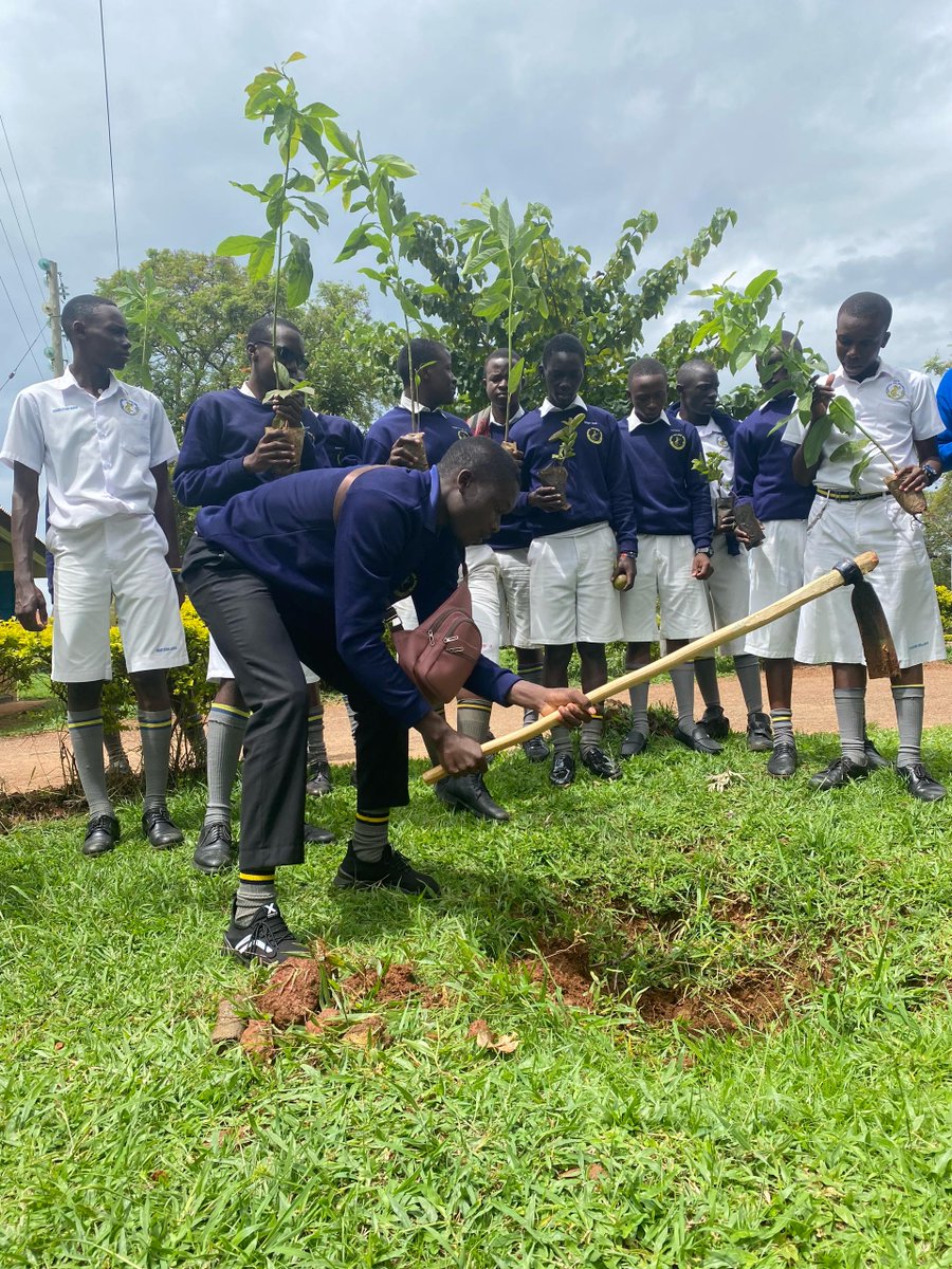 G4ClimateAction's tweet photo. About #OrchardWeek 2025 
Yesterday, together with our partner @dfcugroup, we officially launched the tree planting campaign at Busoga College Mwiri in Jinja City. We had fun with the boys &amp; planted more avocado and guava fruit trees
We're restoring traditional fruit tree species. https://t.co/CGuzMysthi