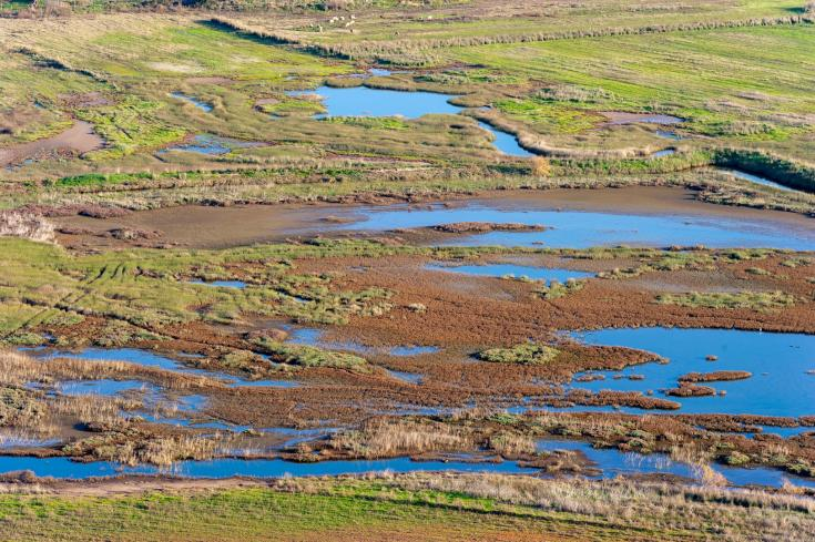 RIWET Interreg Europe tweet media