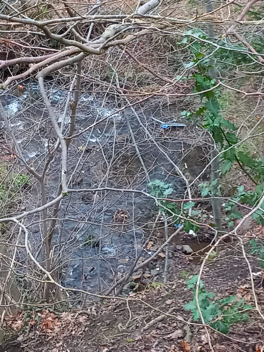 Trolleywise's tweet image. 👏🛒 Trolleywise to the Rescue at Beeslack Wood! 🌳
With local help, out team member Barry retrieved a dozen trolleys near Tesco Penicuik. Despite challenges like a fallen tree, his dedication was top-notch.
Keeping our spaces clean and trolley-free! ♻️