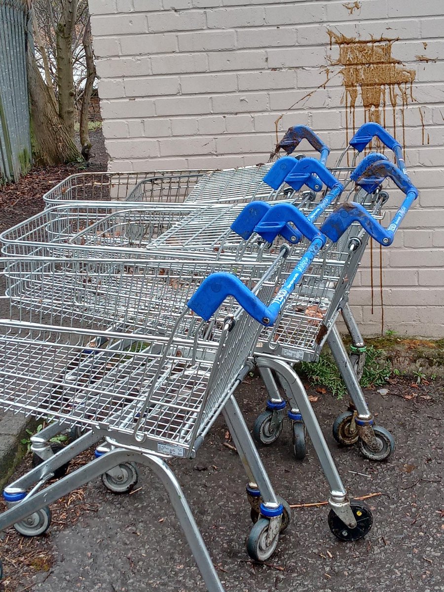 Trolleywise's tweet image. 👏🛒 Trolleywise to the Rescue at Beeslack Wood! 🌳
With local help, out team member Barry retrieved a dozen trolleys near Tesco Penicuik. Despite challenges like a fallen tree, his dedication was top-notch.
Keeping our spaces clean and trolley-free! ♻️