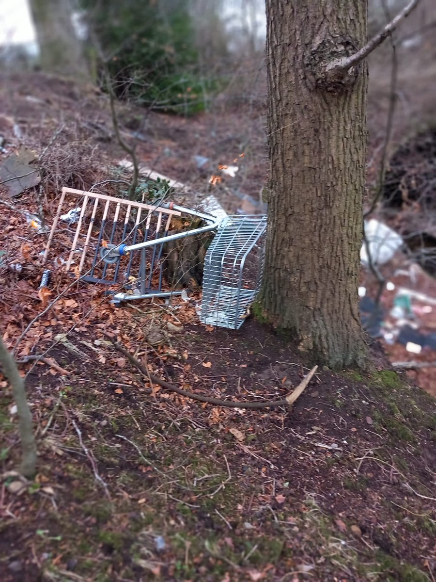 Trolleywise's tweet image. 👏🛒 Trolleywise to the Rescue at Beeslack Wood! 🌳
With local help, out team member Barry retrieved a dozen trolleys near Tesco Penicuik. Despite challenges like a fallen tree, his dedication was top-notch.
Keeping our spaces clean and trolley-free! ♻️