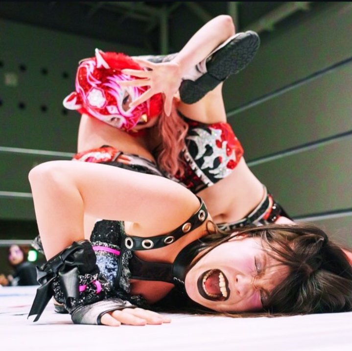 GOATigerResu's tweet photo. Cutie 💅🏻 but I'll also wrap you into a pretzel 🥨. 

Mmm...

Pretzels... 🤤

ANYWAY. Get a girl who can do both. 

@NewFrontierWres @oathprowrestIe @NSWrestle #QueensOfChaos #QoC #WHCTiggy https://t.co/uK0c3Hu1JU