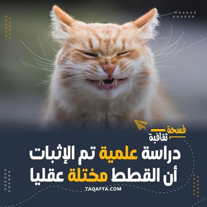 rezk_anwar's tweet photo. @rezk5avaya https://t.co/YqvEcBnfPx