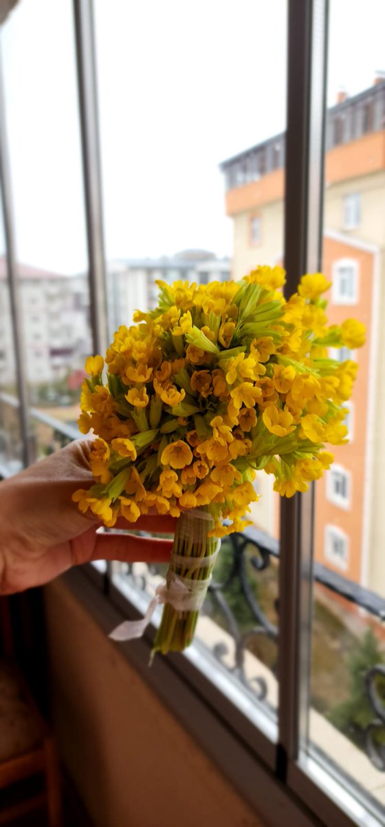 RuhsaneK's tweet photo. Babasının çiçek topladığı kızları kimseler üzemezdi🍀
#uzundere 
#mipadre https://t.co/WMKcydBBE1