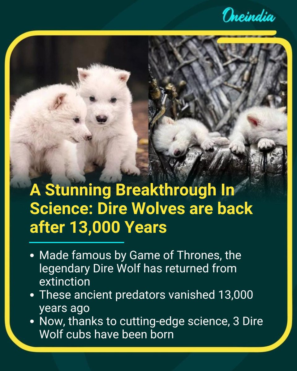 Oneindia's tweet image. Jaw-dropping scientific feat — Dire Wolves walk the Earth again after 13,000 years

#science #DireWolves #BackFromExtinction #gameofthrones #sciencenews