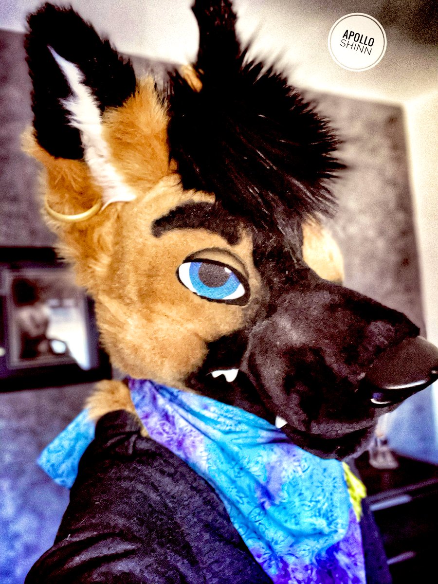 Apollo Shinn @FWA 25 & @MFF 25 (@The_Foxy_Apollo) / X Apollo Shinn @FWA 25 & @MFF 25 (@The_Foxy_Apollo) / X