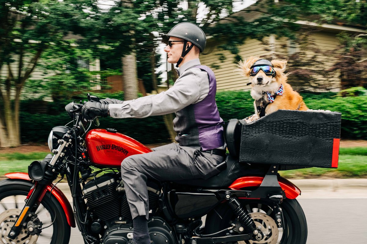 The Distinguished Gentleman's Ride tweet media