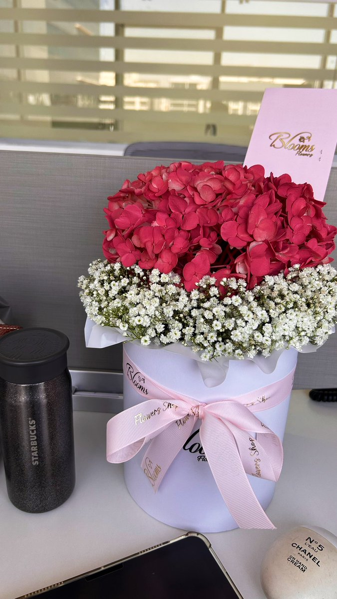 heiduschchic's tweet photo. starting this new chapter feeling loved and bloomin’ blessed! https://t.co/byrn31osKB