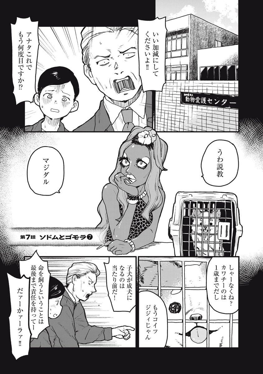 動物虐待に鉄槌(1/6) 
