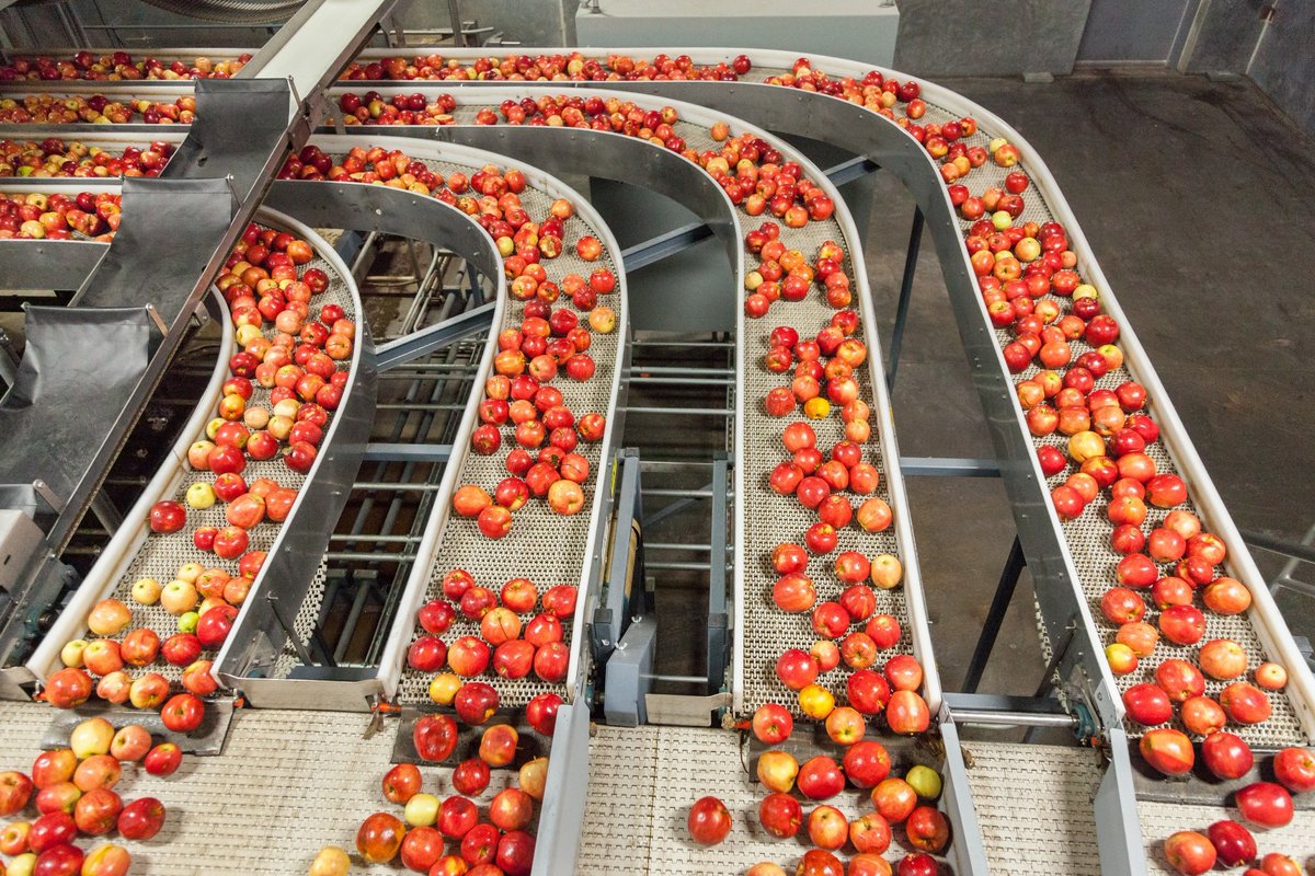 AZoRobotics's tweet photo. AI, robotics & sensors now boost speed, accuracy & traceability—spotting allergens, optimizing labels & preventing fraud in real time. #FoodTech #Automation #AI #NutritionalTesting #FoodSafety
https://t.co/F0e9iLgh03 https://t.co/YXzgRyYm7Y