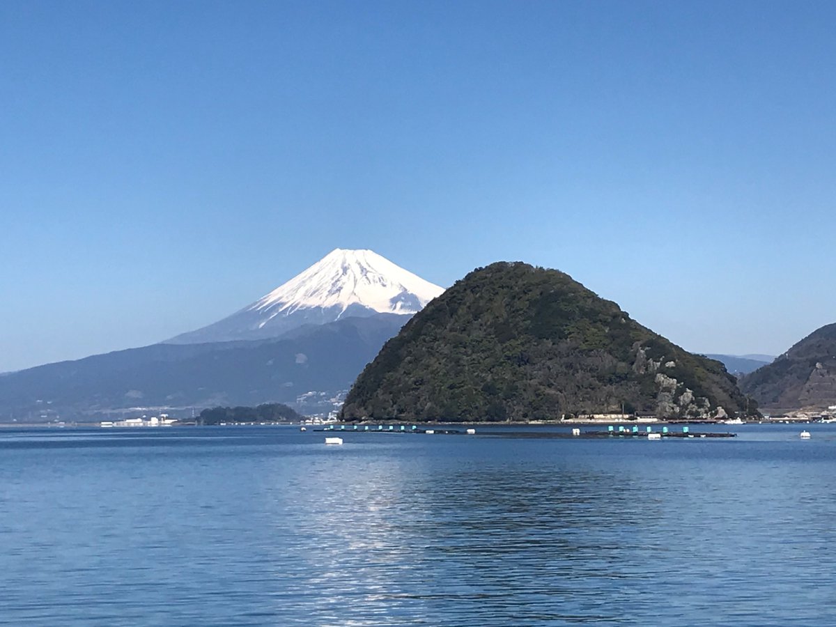 Fujistar_3776's tweet photo. そうだ、沼津行こう
(写真はいけすやのランチ) https://t.co/F1sbVyL42C