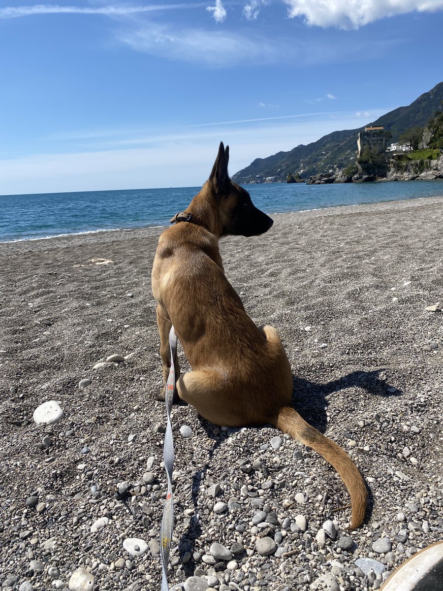 S3r3n4Wolf's tweet image. Io credo che la bellezza abbia molte forme…la bellezza