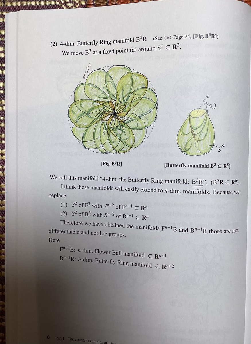 EikoIwayama's tweet image. 私はミレニアム問題のポアンカレ予想、Hilbertの第５問題の各反例を見つけた。簡単で重要な例はFlower manifoldsである。３次元からn次元迄でき、2次元もアンパンと呼んでいるが、ドーナツの表面の穴が潰れた物である。1つの多様体の基本群と微分可能性を考えれば良い。#InstClayMath.＃文部科学大臣