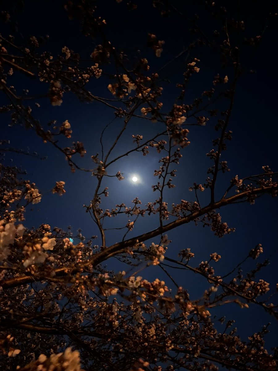 오늘 너무 예쁘넹➰🌸🌙