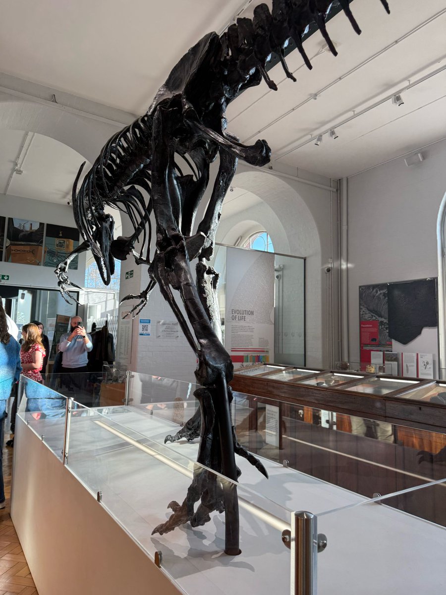 Sercon IRMS tweet media