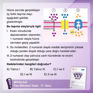Resim
