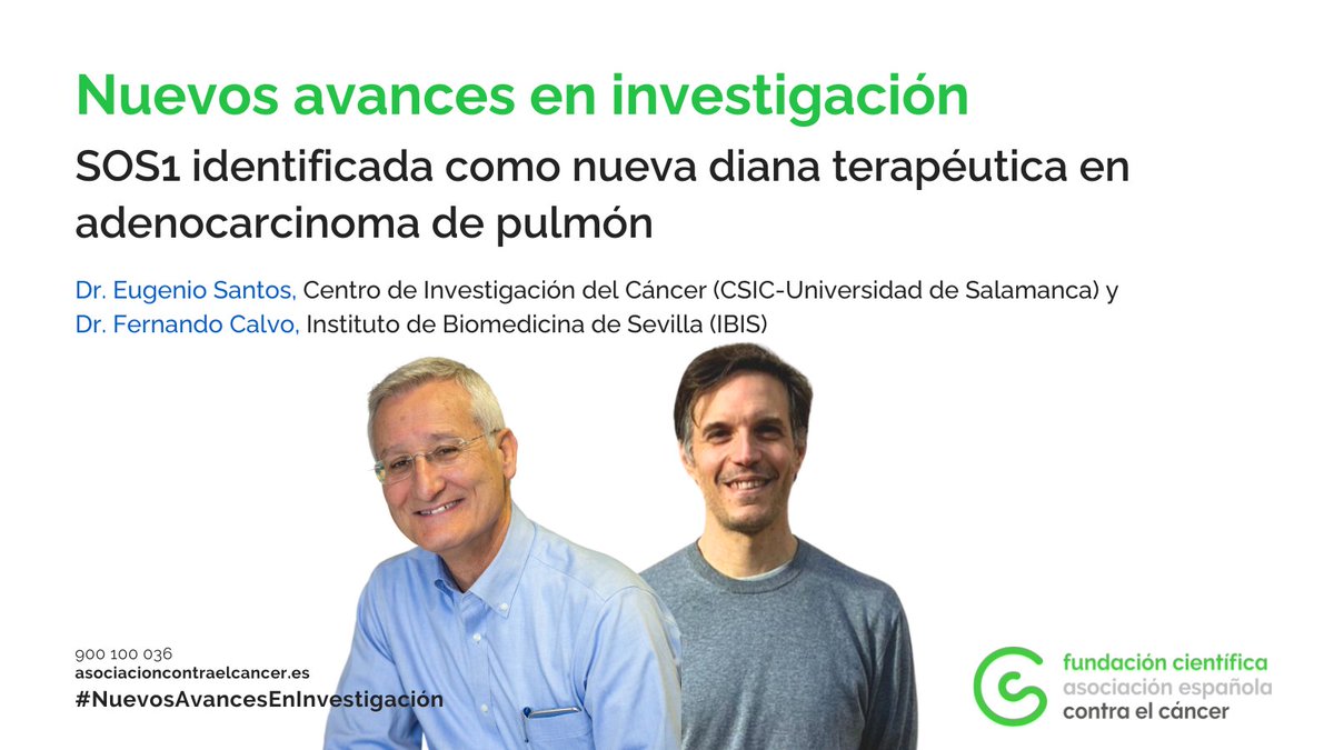 🧬 Un tercio de los cánceres de pulmón se deben a alteraciones en los genes RAS. Aunque recientemente se han conseguido fármacos dirigidos, estos no son eficaces en todos los pacientes.

Una investigación liderada por el Dr. Eugenio Santos del <a href="/ciccancer/">Centro de Investigación del Cáncer/CSIC-USAL-FICUS</a> y apoyada por