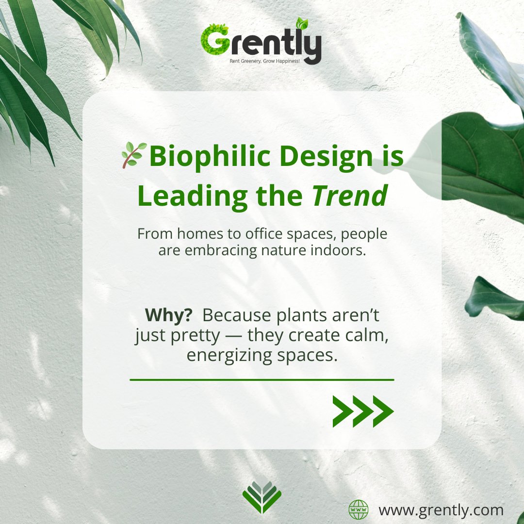 GoGrently's tweet photo. 🌿✨ 2025 is all about spaces that breathe.
With Grently, you don’t just rent plants,
you bring home calm, class, and cleaner air — all at affordable rates. 🪴💚

Say goodbye to boring corners.
#Grently #LuxuryPlanters #PlantRental #GreenLiving #InteriorDesignGoals #biophilic https://t.co/4JIQKIyjDa
