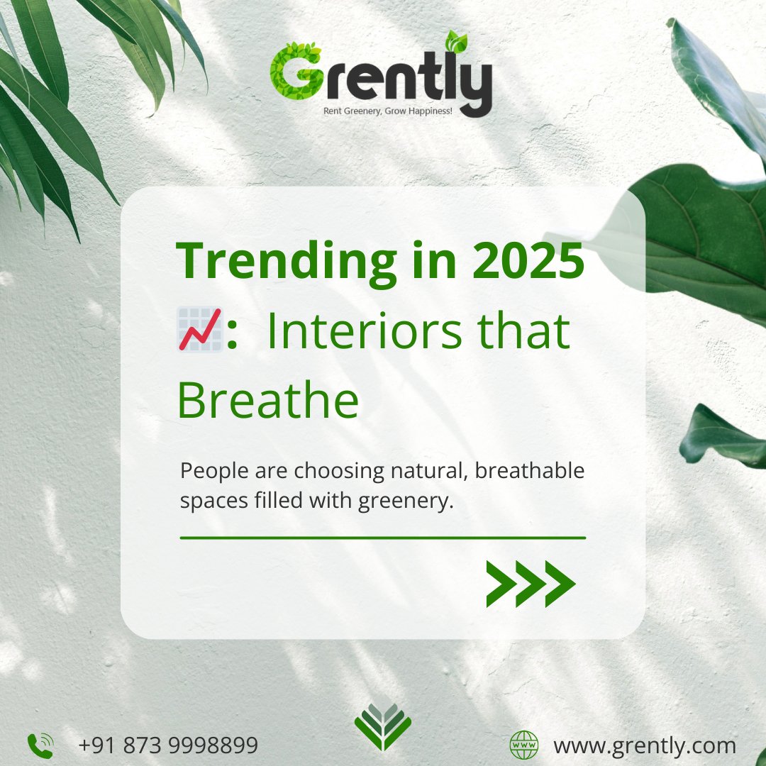 GoGrently's tweet photo. 🌿✨ 2025 is all about spaces that breathe.
With Grently, you don’t just rent plants,
you bring home calm, class, and cleaner air — all at affordable rates. 🪴💚

Say goodbye to boring corners.
#Grently #LuxuryPlanters #PlantRental #GreenLiving #InteriorDesignGoals #biophilic https://t.co/4JIQKIyjDa