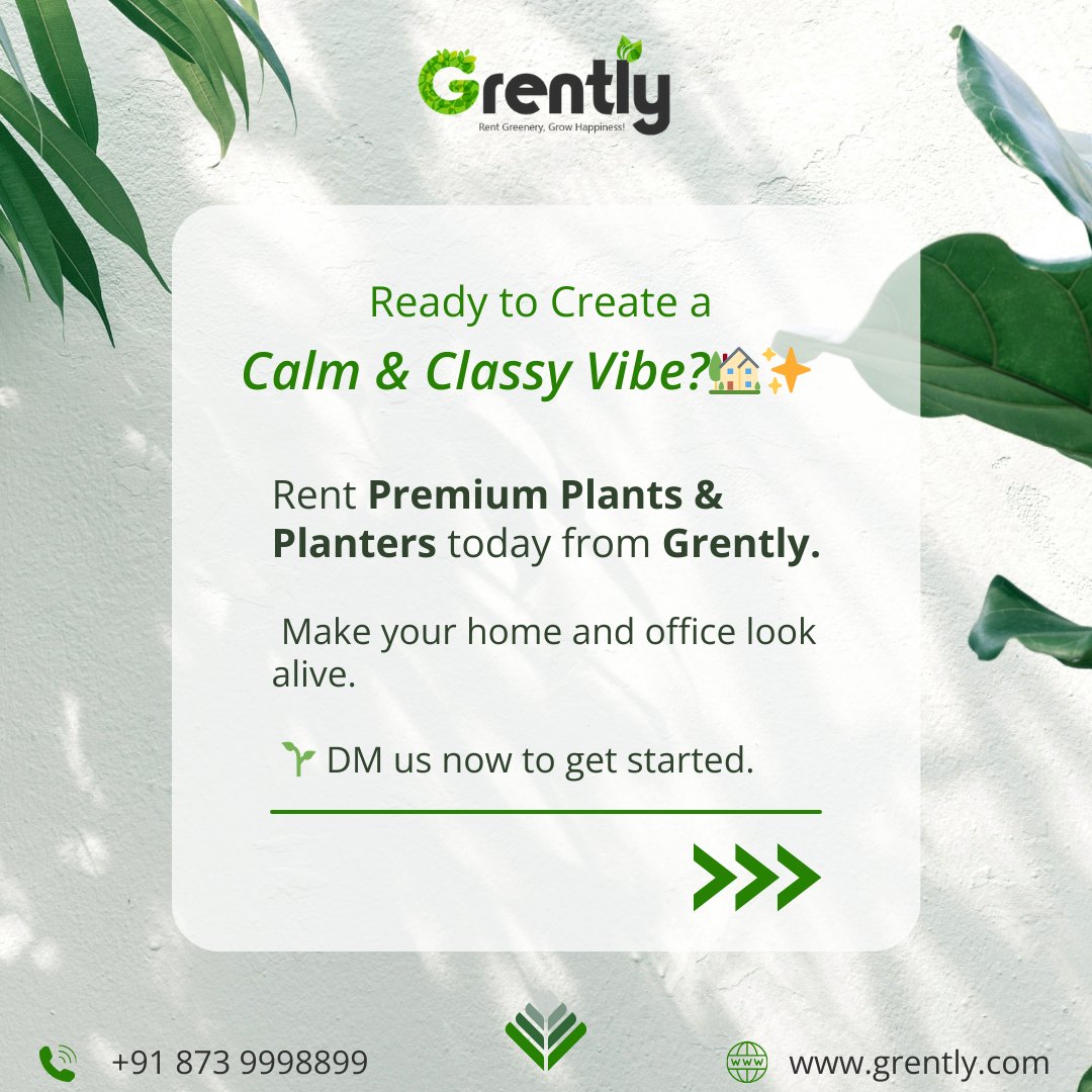 GoGrently's tweet photo. 🌿✨ 2025 is all about spaces that breathe.
With Grently, you don’t just rent plants,
you bring home calm, class, and cleaner air — all at affordable rates. 🪴💚

Say goodbye to boring corners.
#Grently #LuxuryPlanters #PlantRental #GreenLiving #InteriorDesignGoals #biophilic https://t.co/4JIQKIyjDa