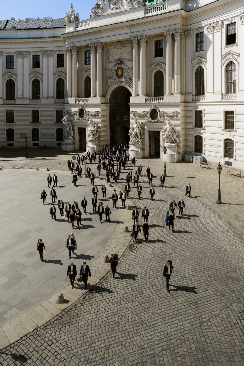 Discover Trieste tweet media