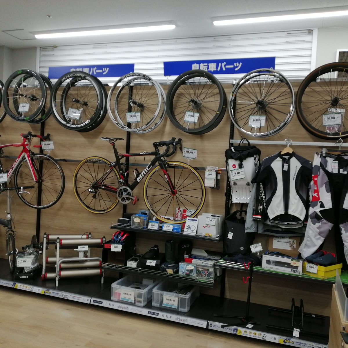 offhouse_nagano's tweet photo. 桜の開花に間に合いました🌸🚲️
貴方にピッタリの自転車を探しに来ませんか？
#オフハウス長野北
#自転車好きに刺され https://t.co/MpV2cfSYuu