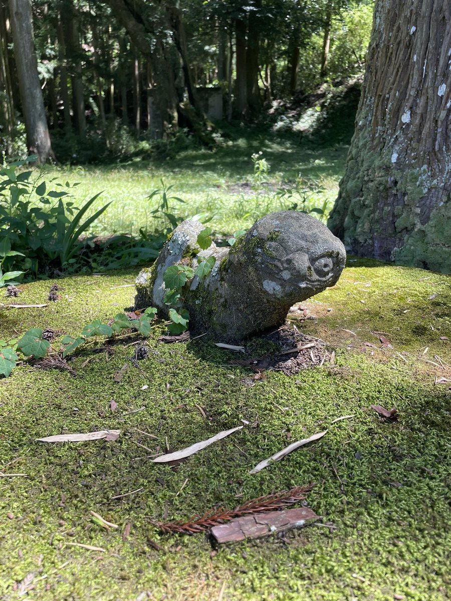 maxgorimax's tweet photo. 狛犬といえば、これを超えるインパクトのあるのはなかなかない。
徳島の超山奥にある三所神社(西祖谷) の狛犬。
ジブリや新海作品に出てきそうな神域感があります。
朽ち果てる前に保存して欲しい。 https://t.co/iVVSUQlLB3